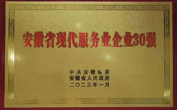 新春传喜报！——包河文投公司被省委省政府授予“安徽省现代服务业企业30强”称号